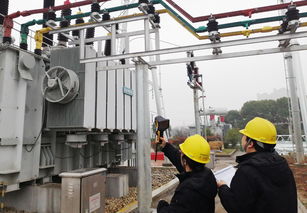芜湖供电公司 加强设备特巡 保障用户供电